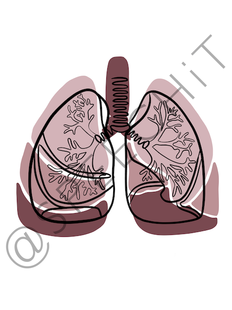 LUNGS | ABSTRACT LINE ART COMBO | pink digital poster