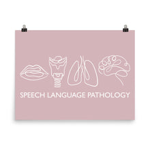 Load image into Gallery viewer, SPEECH LANGUAGE PATHOLOGY ANATOMY | LINE ART | pink poster
